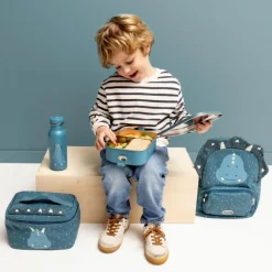 Lunch Box Mr. Triceratops