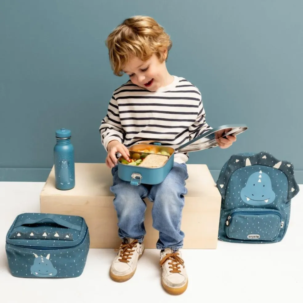 Lunch Box Mr. Triceratops