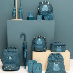 Lunch Box Mr. Triceratops