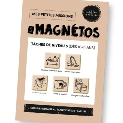 Magnets Tâches de niveau 5 (dès 10 ans) - Les Magnétos