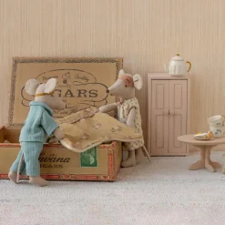 Maman et papa souris dans une boîte à cigares