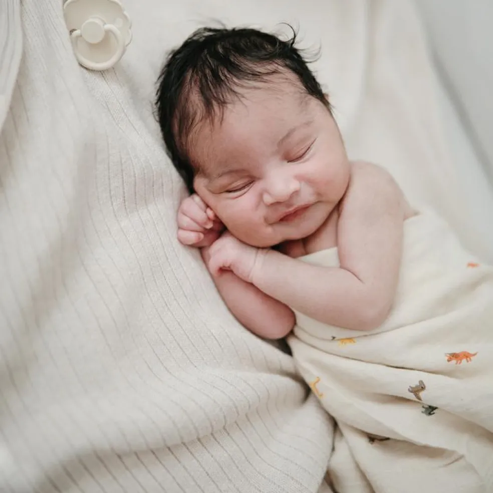 Maxi lange en coton bio Dinosaure (120 x 120 cm)