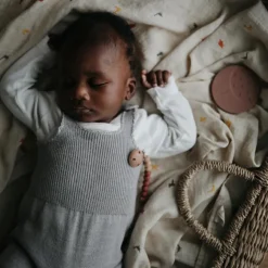 Maxi lange en coton bio Dinosaure (120 x 120 cm)