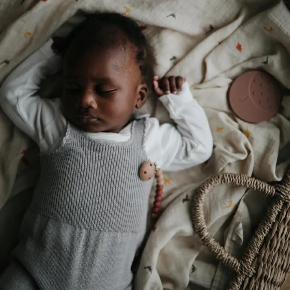 Maxi lange en coton bio Dinosaure (120 x 120 cm)