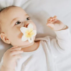 Mini jouet de dentition Hawaii the flower