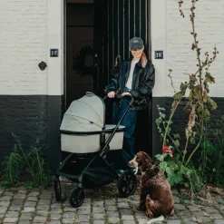 Nacelle pour poussette Echo Moss