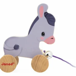 Âne à promener Ferme