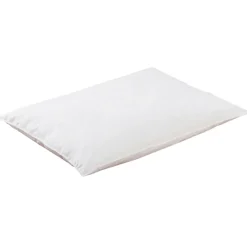 Oreiller bio (40 x 60 cm)