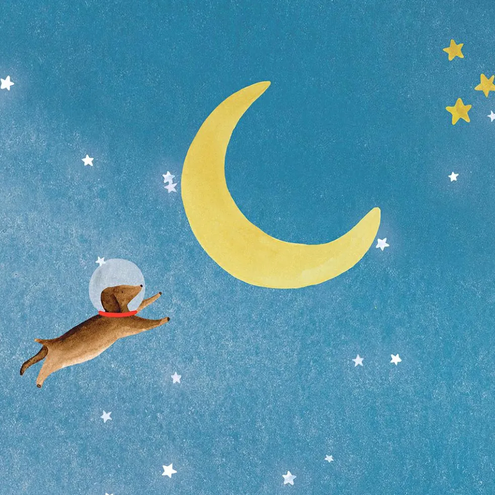 Papier Peint Panorama Espace L (250 x 200 cm)