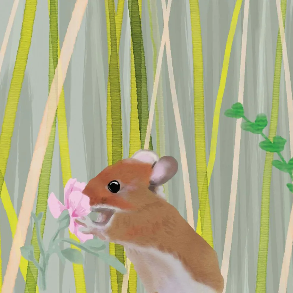 Papier Peint Panorama Ma cabane XL (250 x 400 cm)