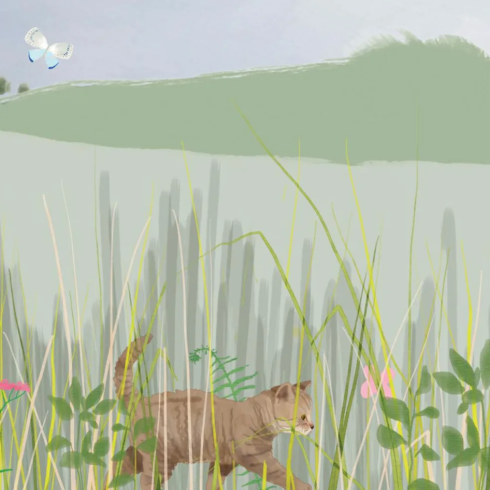 Papier Peint Panorama Ma cabane XL (250 x 400 cm)