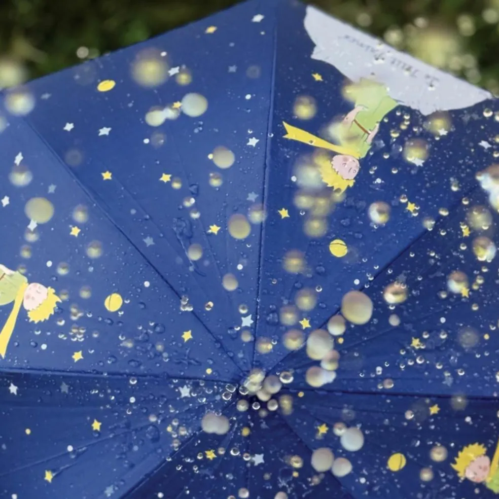 Parapluie Le Petit Prince