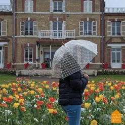 Parapluie les petites fleurs