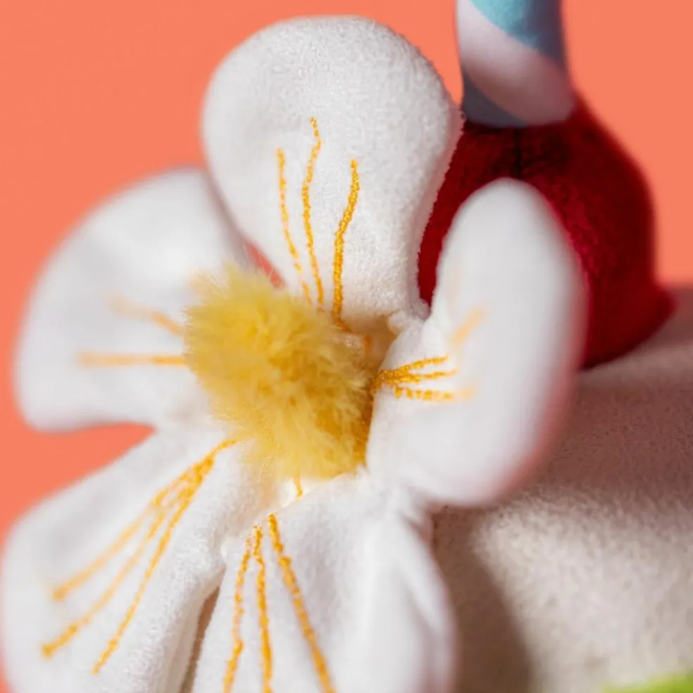 Peluche Amuseable Noix de Coco Aruba (15 cm)