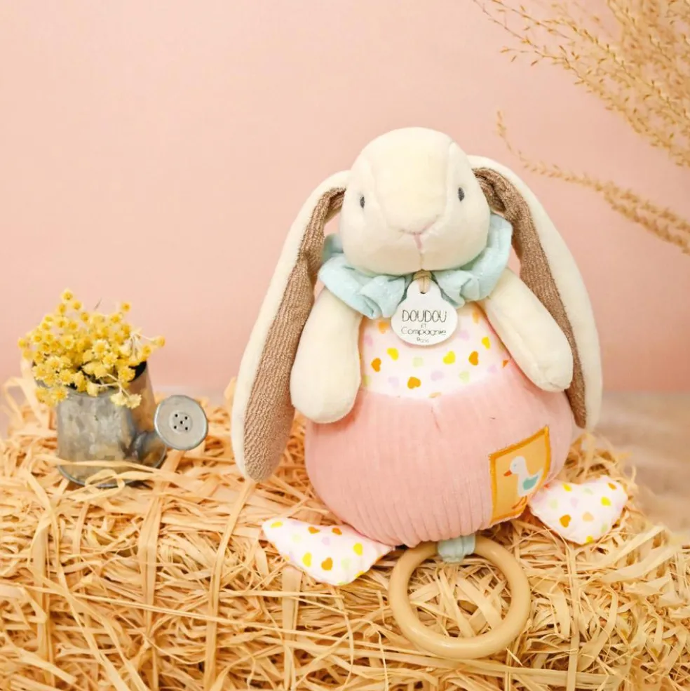 Peluche musicale Lapin Ciboulette Dans mon jardin (20 cm)