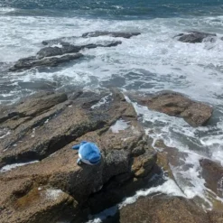 Peluche Nemu Nemu Flip dauphin (54 cm)