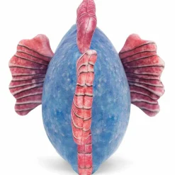 Peluche Poisson bleu (16 cm)