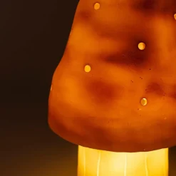 Petite lampe veilleuse champignon Petit Terra