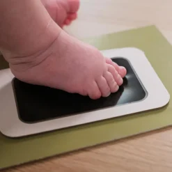 Pêle-mêle Olive Tree