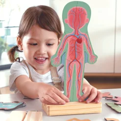 Puzzle aimanté Le corps humain