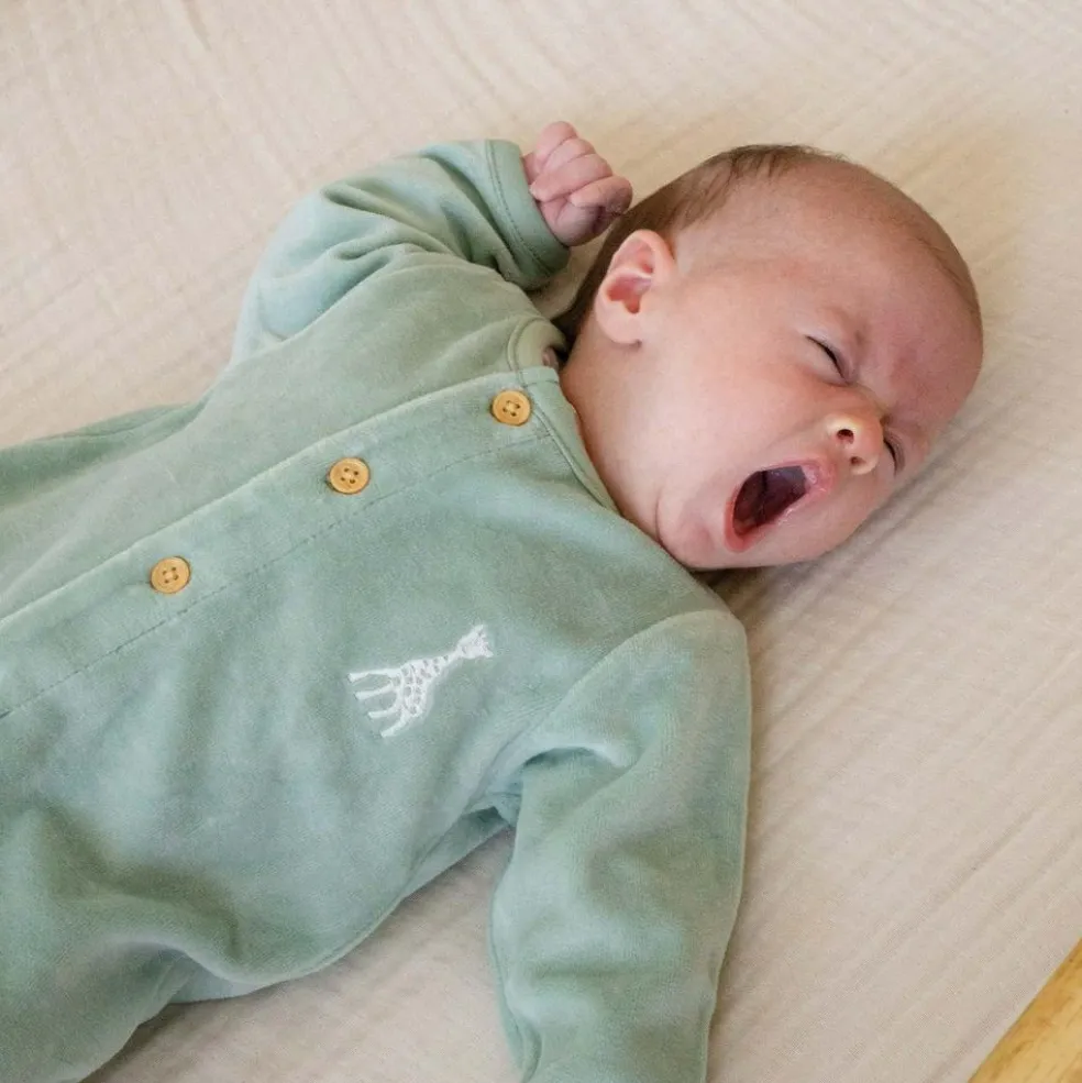 Pyjama en velours olive Sophie la girafe (3 mois)