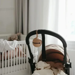 Range sucette en silicone Blush