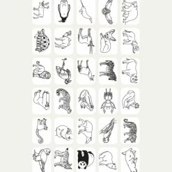 Recharge KIDYDRAW-MINI Thème : Pirates Princesses et Animaux Sauvages