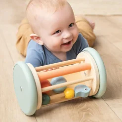 Rouleau d'éveil avec miroir Birdee