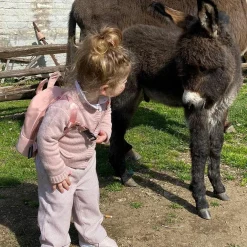 Sac à dos bébé My first bag rose (23 cm)