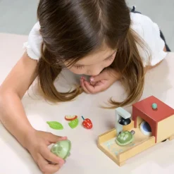 Set animal de compagnie tortue