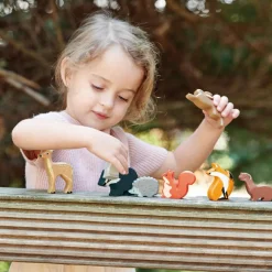 Set animaux en bois Forêt