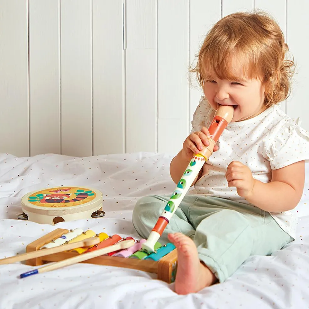 Set de 4 instruments Gioia