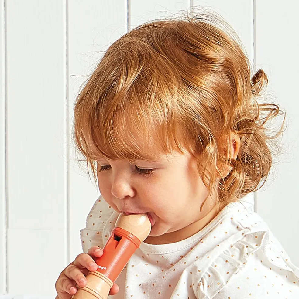 Set de 4 instruments Gioia