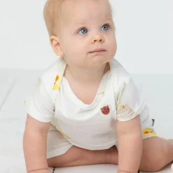 Set de 24 patchs anti-moustique naturel