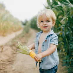 Set de 24 patchs anti-moustique naturel