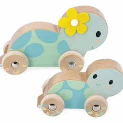 Set de 2 tortues à pousser Pure