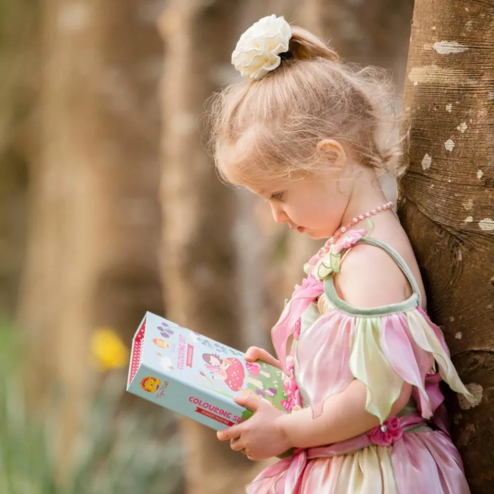 Set de coloriage fées de la forêt