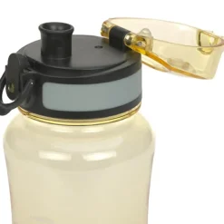 Set lunch box About Friends lion