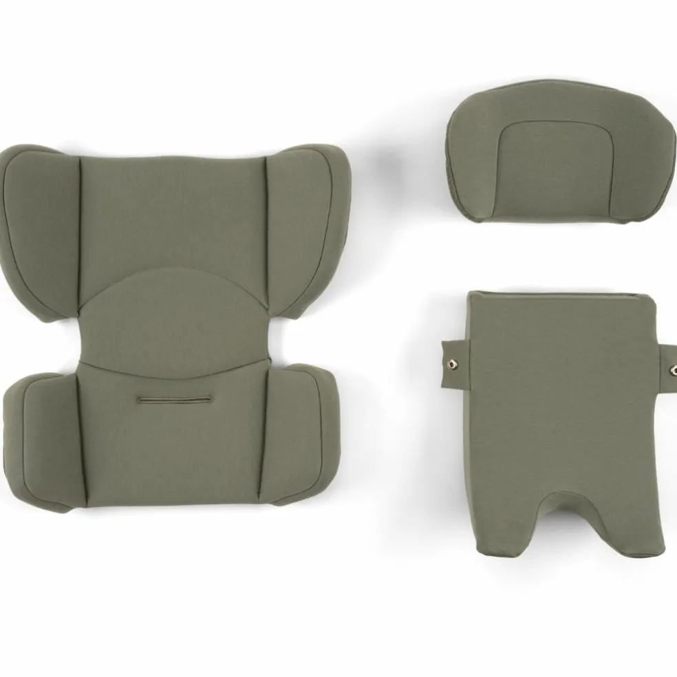 Siège-auto TODL NEXT Pine