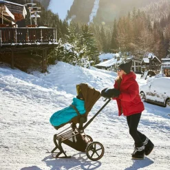 Skis pour poussette Priam et e-Priam Black