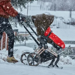 Skis pour poussette Priam et e-Priam Black