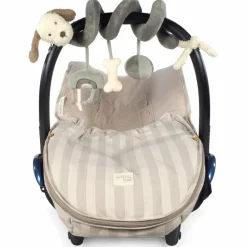 Spirale d'activité Chien Sintra Vert