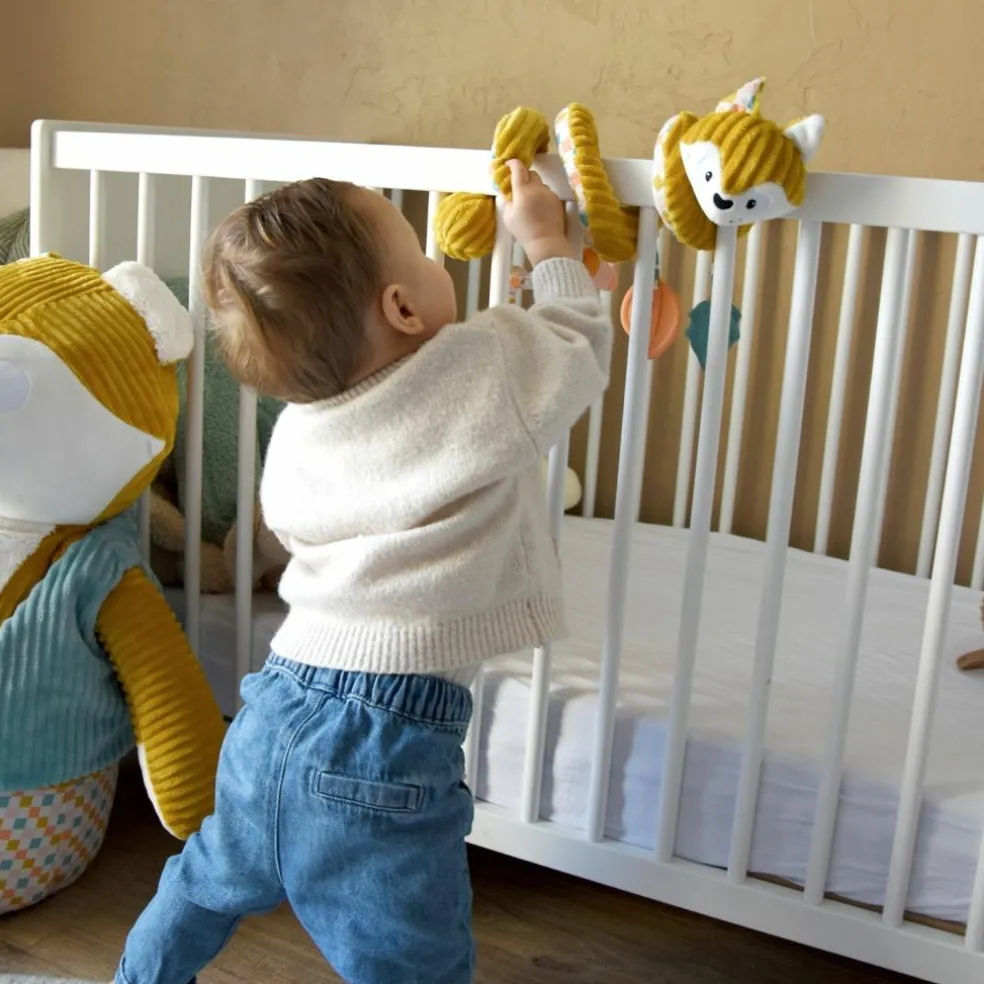 Spirale d'activités Cyranos le Renard