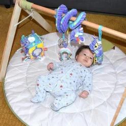 Spirale d'activités Kiprokos le zèbre