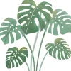 Sticker Feuilles de monstera