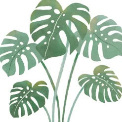 Sticker Feuilles de monstera