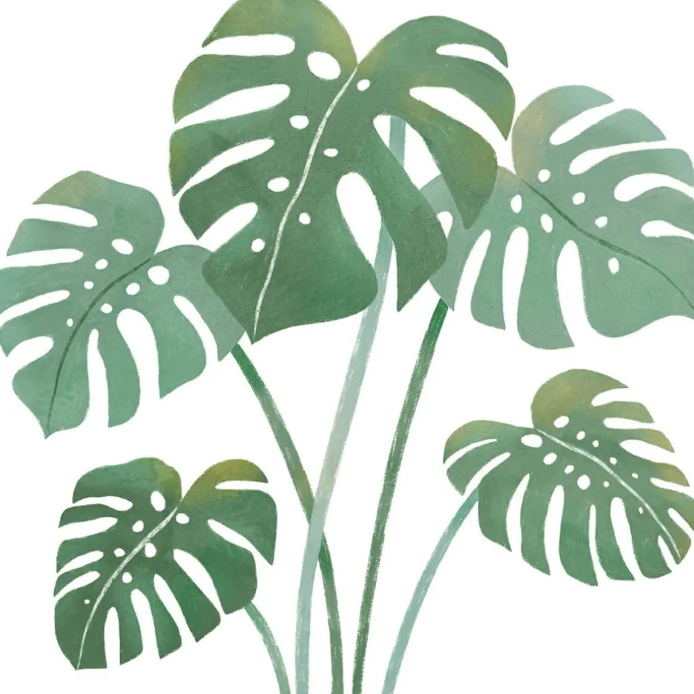 Sticker Feuilles de monstera