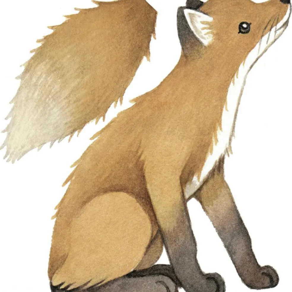 Sticker renard Forest