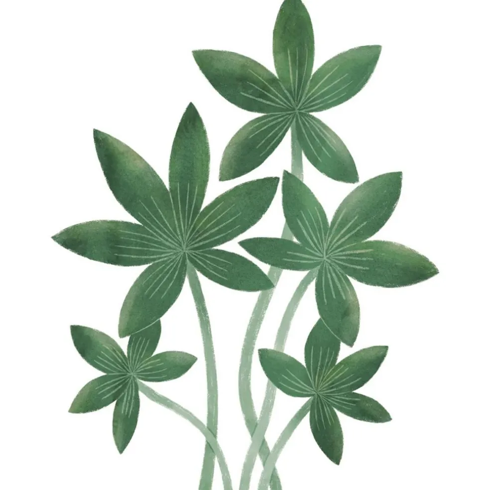 Sticker Végétations tropicales