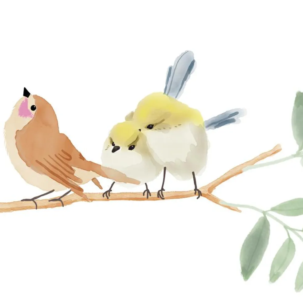 Stickers Easy oiseaux (30 x 30 cm)